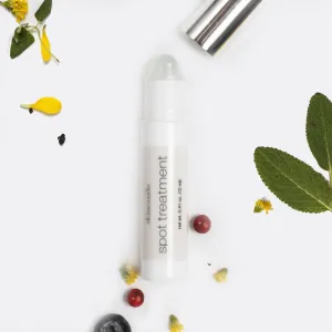 Acne Spot Treatment