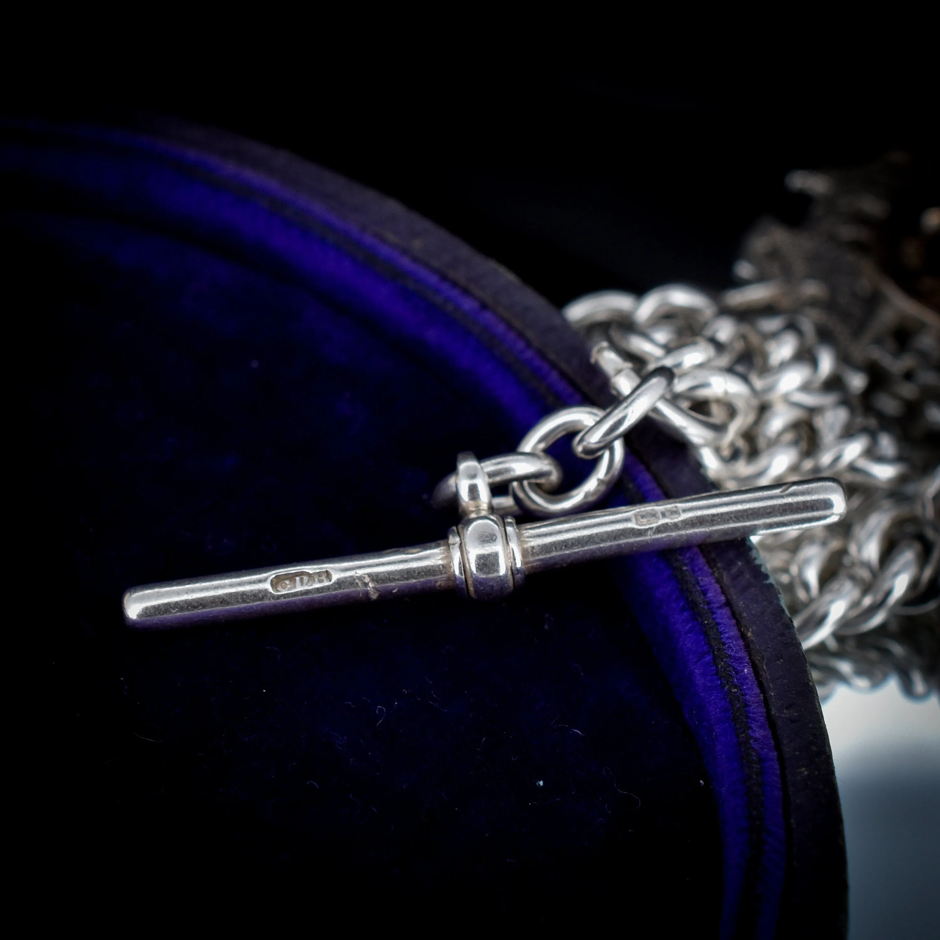 Antique Victorian Sterling Silver Curb Link Albert Watch Chain with T-Bar, Medal and Dog Clip