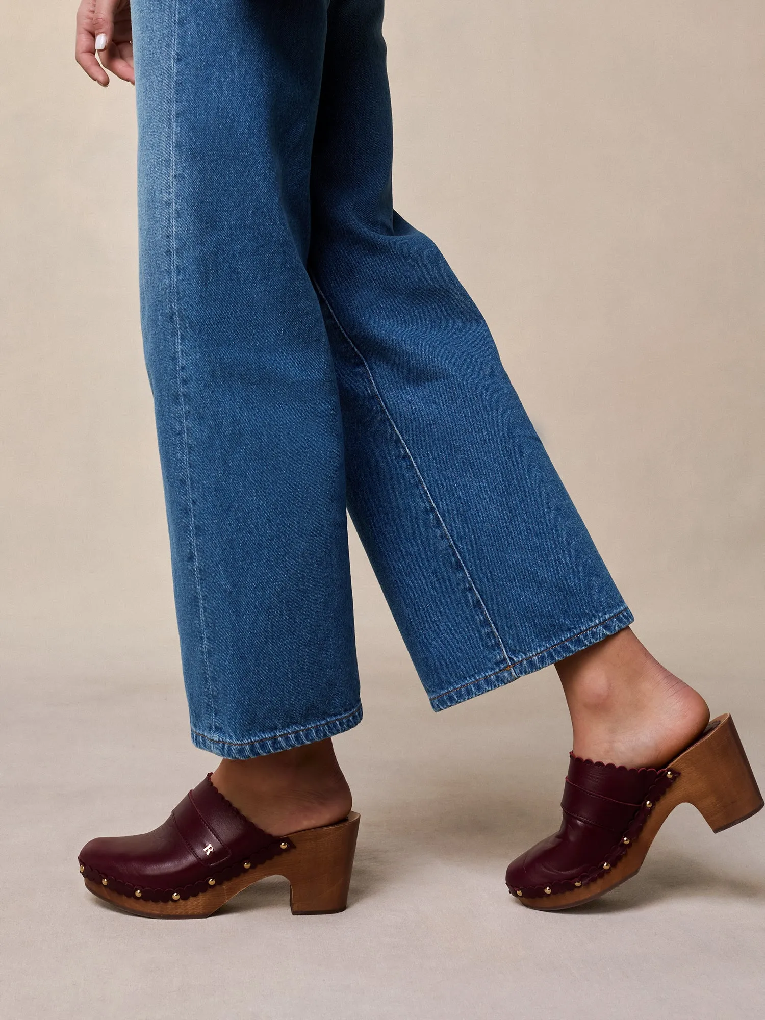AUVERGNATE Mules