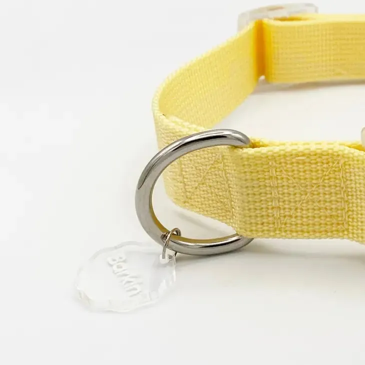 Barkin' Collar - Butter