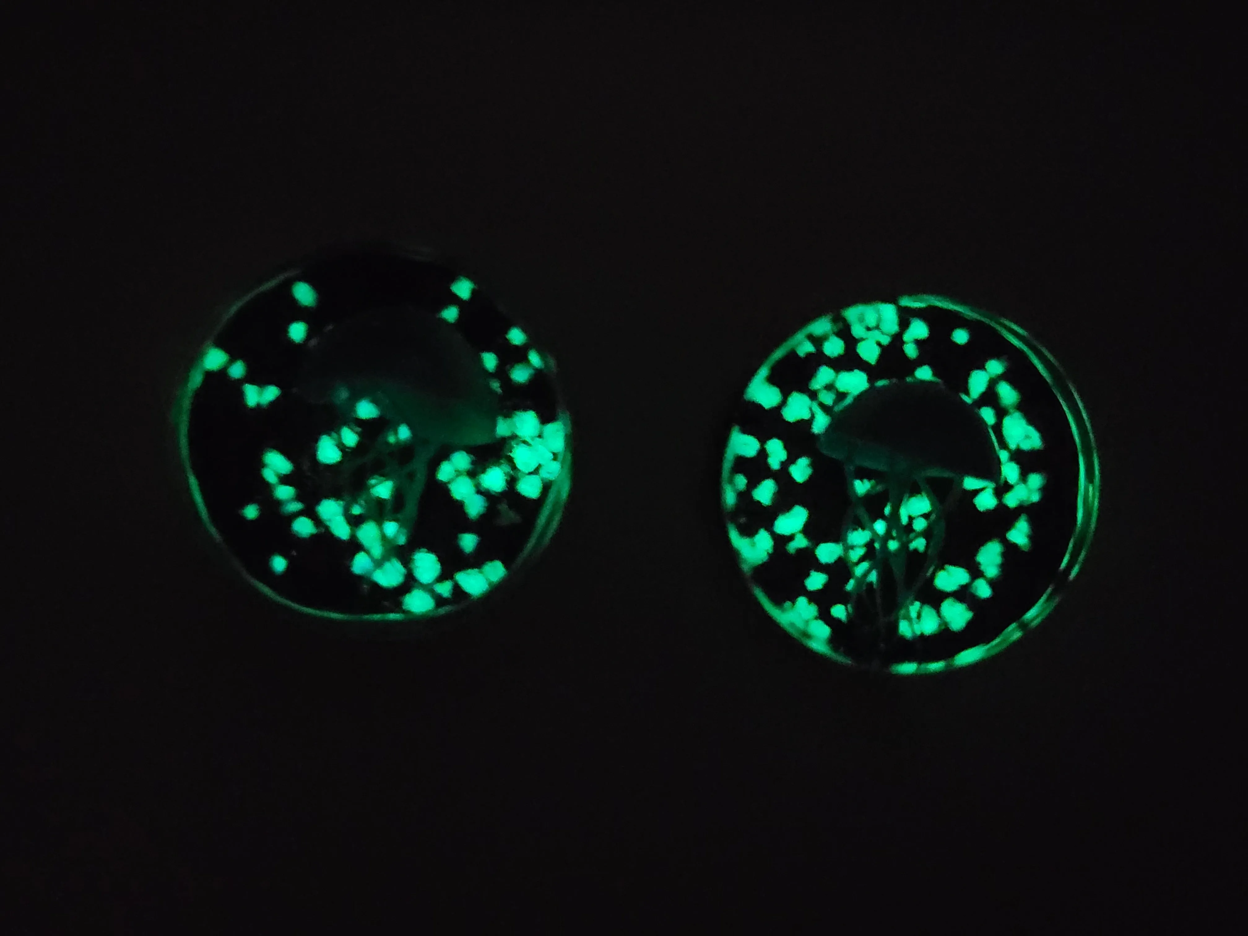 Blue JellyFish Glass Glow in the Dark Plugs (8mm - 16mm) (Pair) - G019