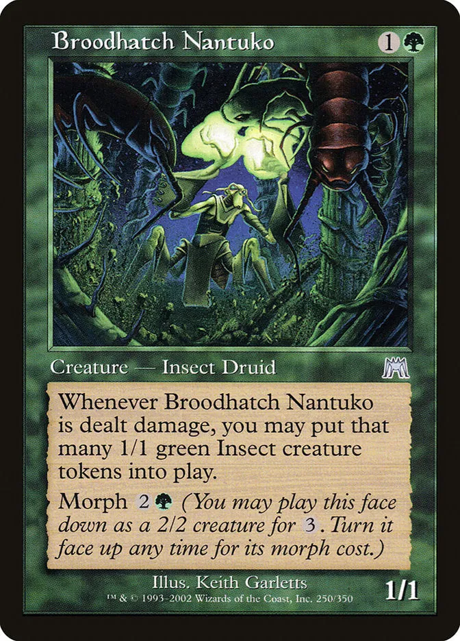 Broodhatch Nantuko (ONS)