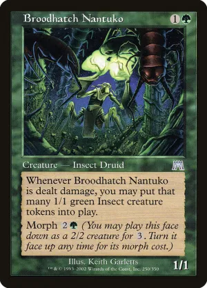Broodhatch Nantuko (ONS)