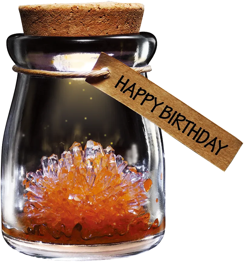 DIY Growing Crystal Wish Flower