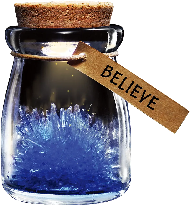 DIY Growing Crystal Wish Flower