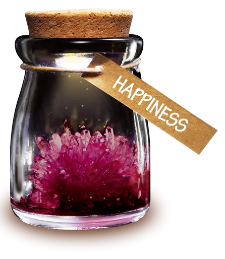 DIY Growing Crystal Wish Flower