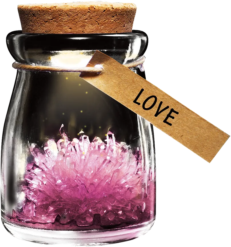 DIY Growing Crystal Wish Flower