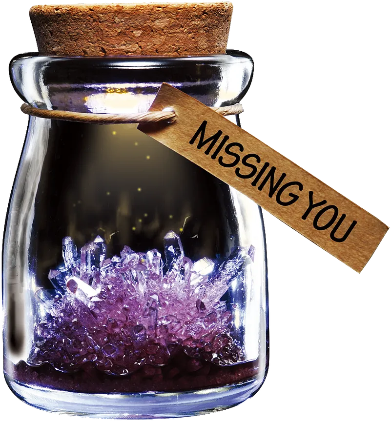 DIY Growing Crystal Wish Flower