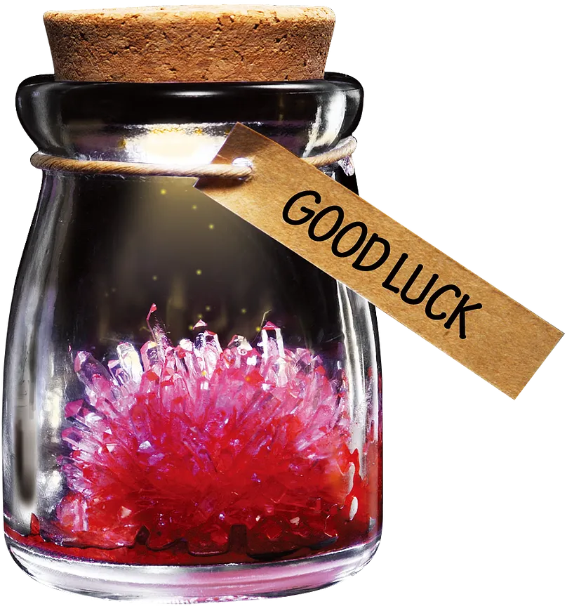 DIY Growing Crystal Wish Flower