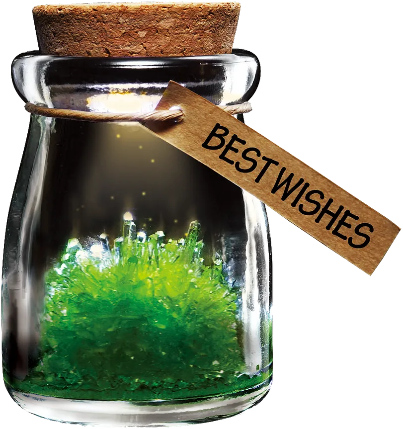 DIY Growing Crystal Wish Flower