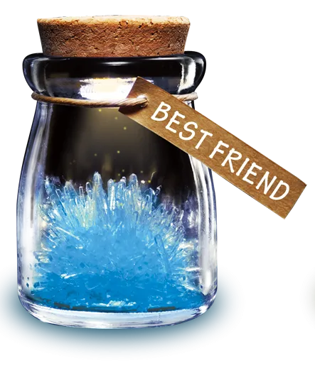 DIY Growing Crystal Wish Flower