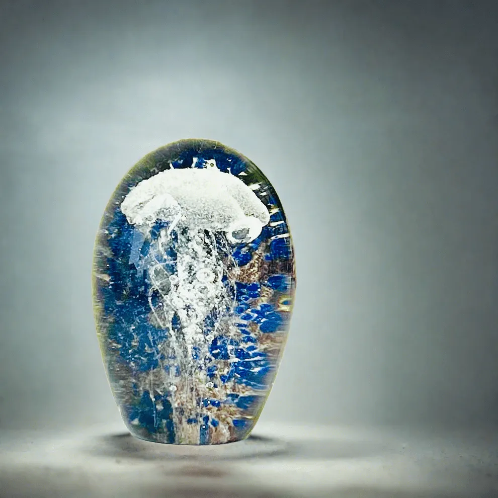 Dome Glow in The Dark Jellyfish Paperweight 11, Midnight