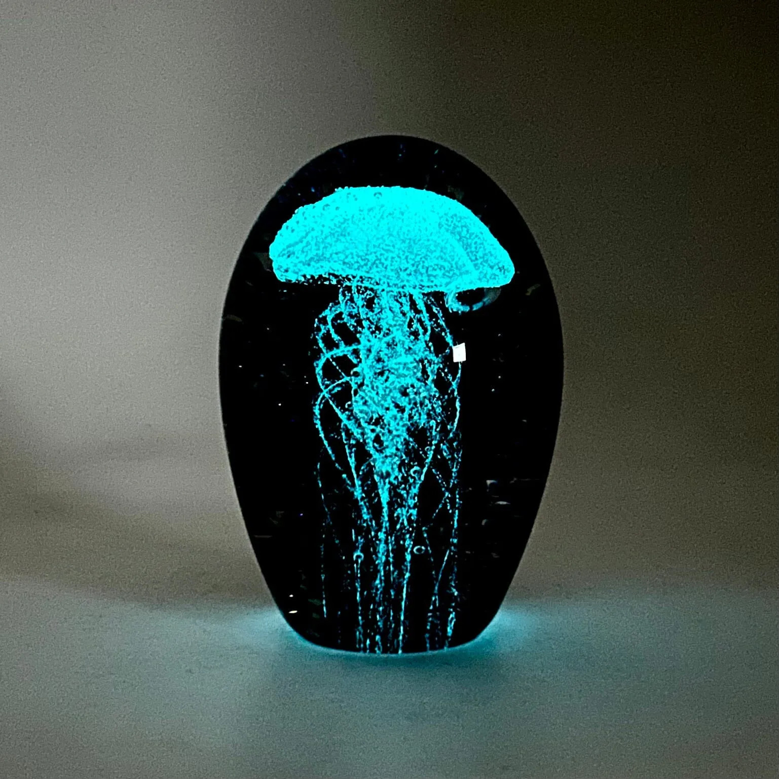 Dome Glow in The Dark Jellyfish Paperweight 11, Midnight