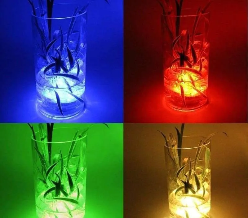 EFX LED Light Bulbs Just For You