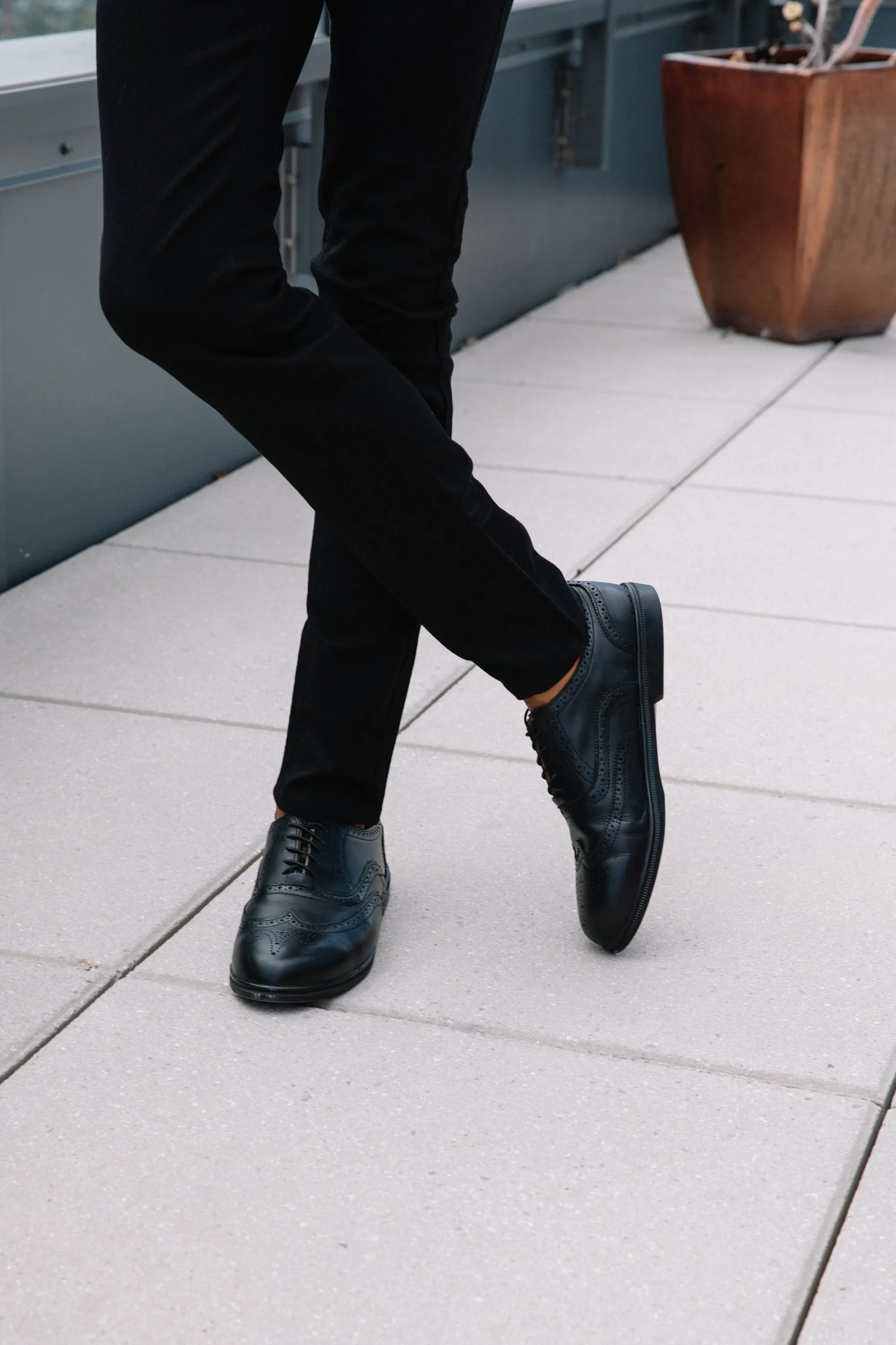 FALCON Wingtip Oxfords (Outlet)