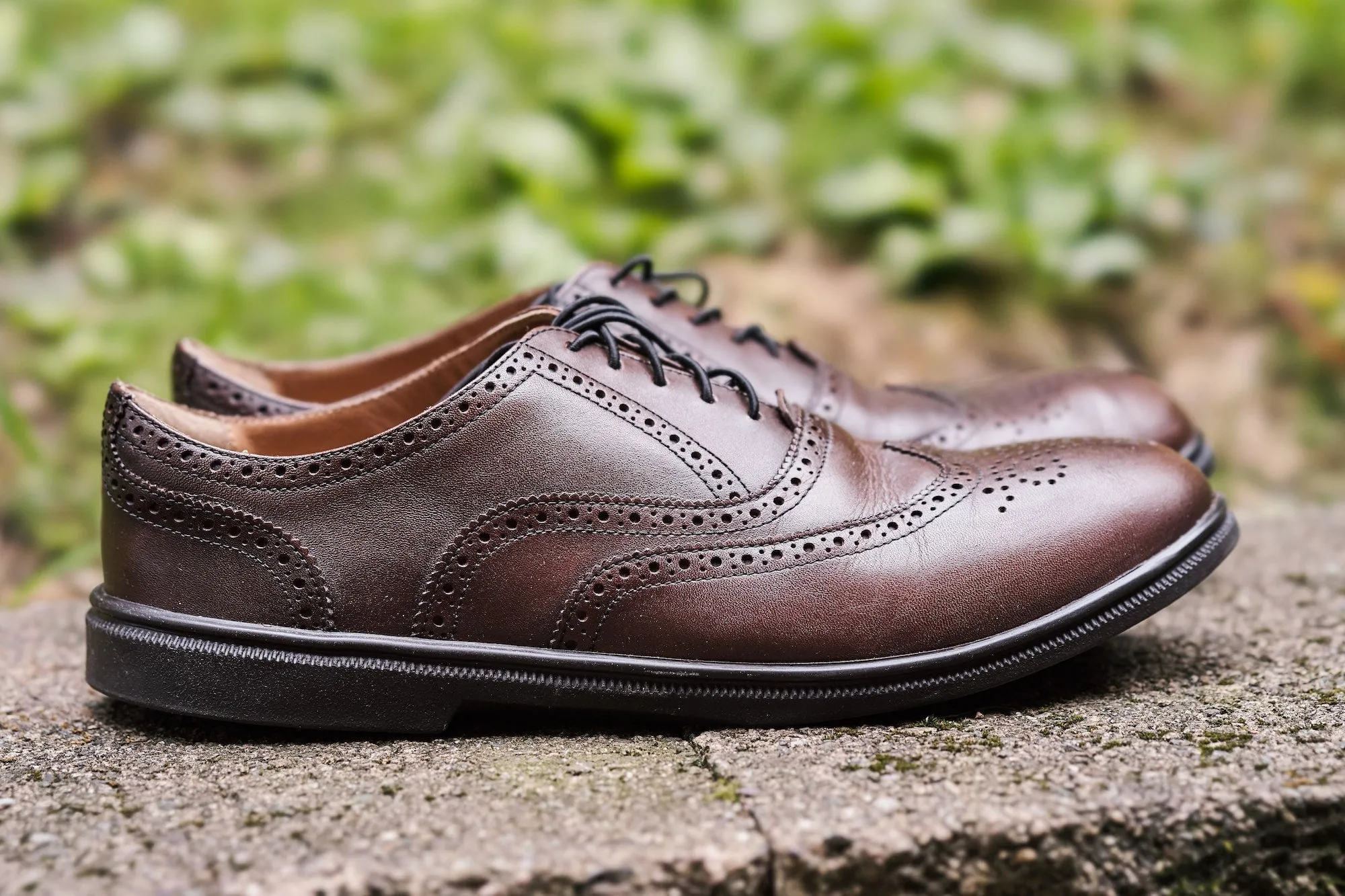 FALCON Wingtip Oxfords (Outlet)