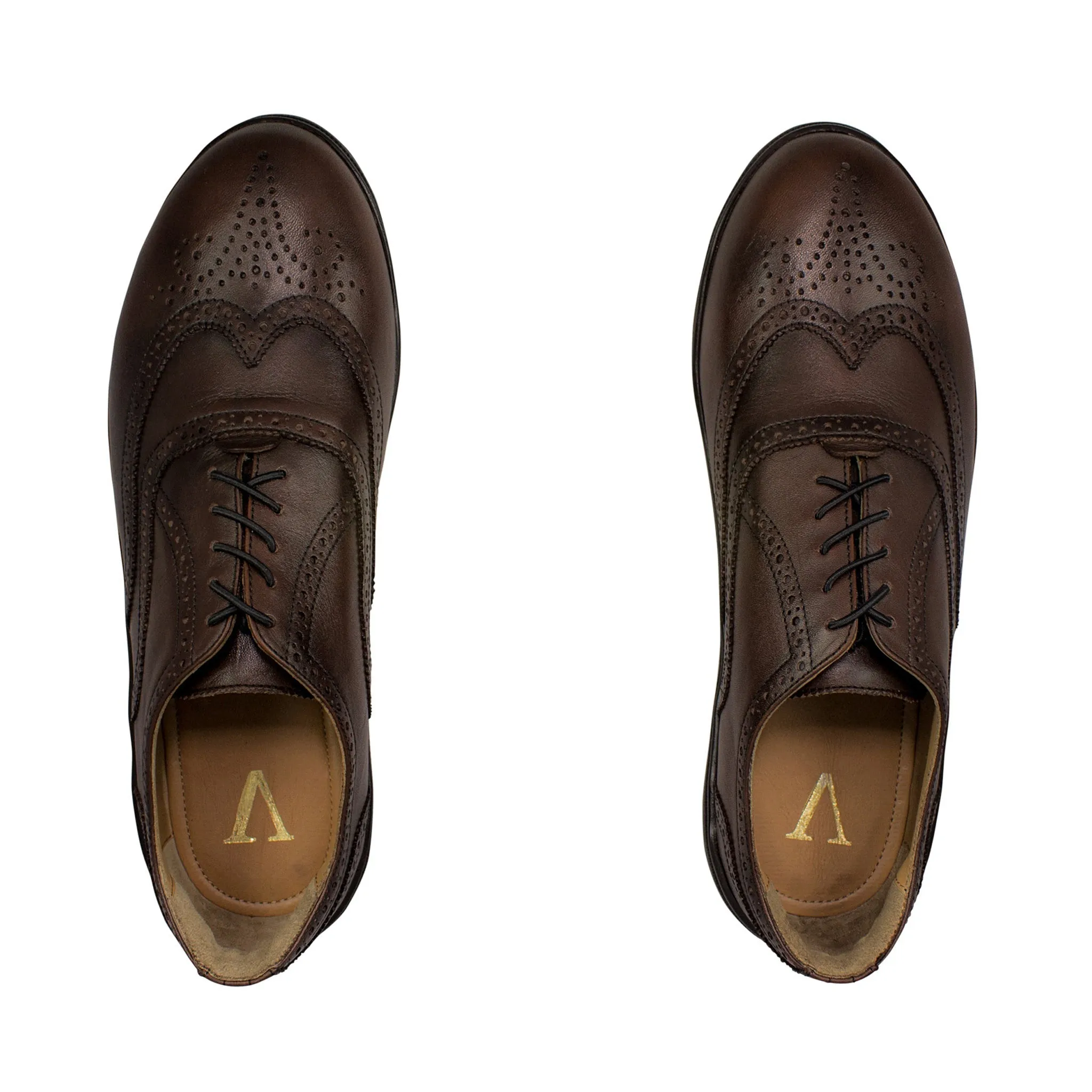 FALCON Wingtip Oxfords (Outlet)