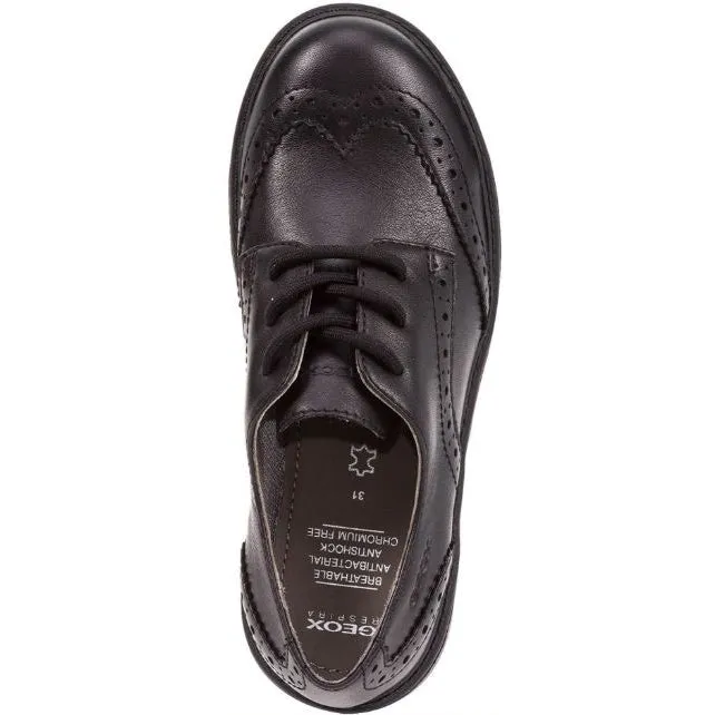 Geox Casey Leather Brogue