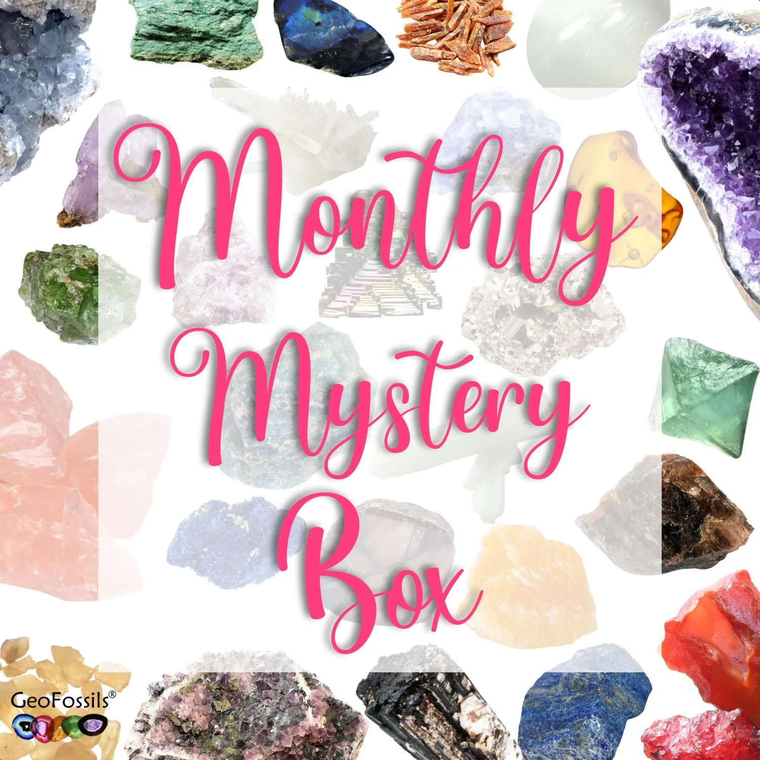Monthly Mystery Box