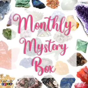 Monthly Mystery Box
