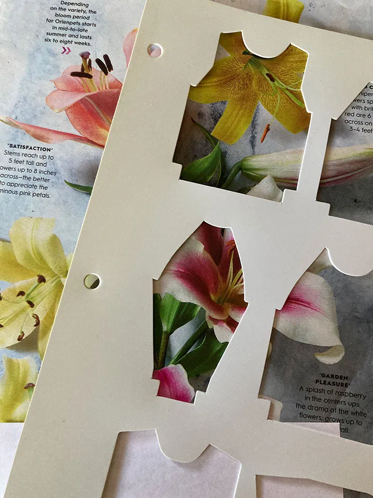 Plastic Template/Tops