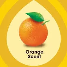 PLEDGE ENHANCING POLISH ORANGE 274G - PEPO274