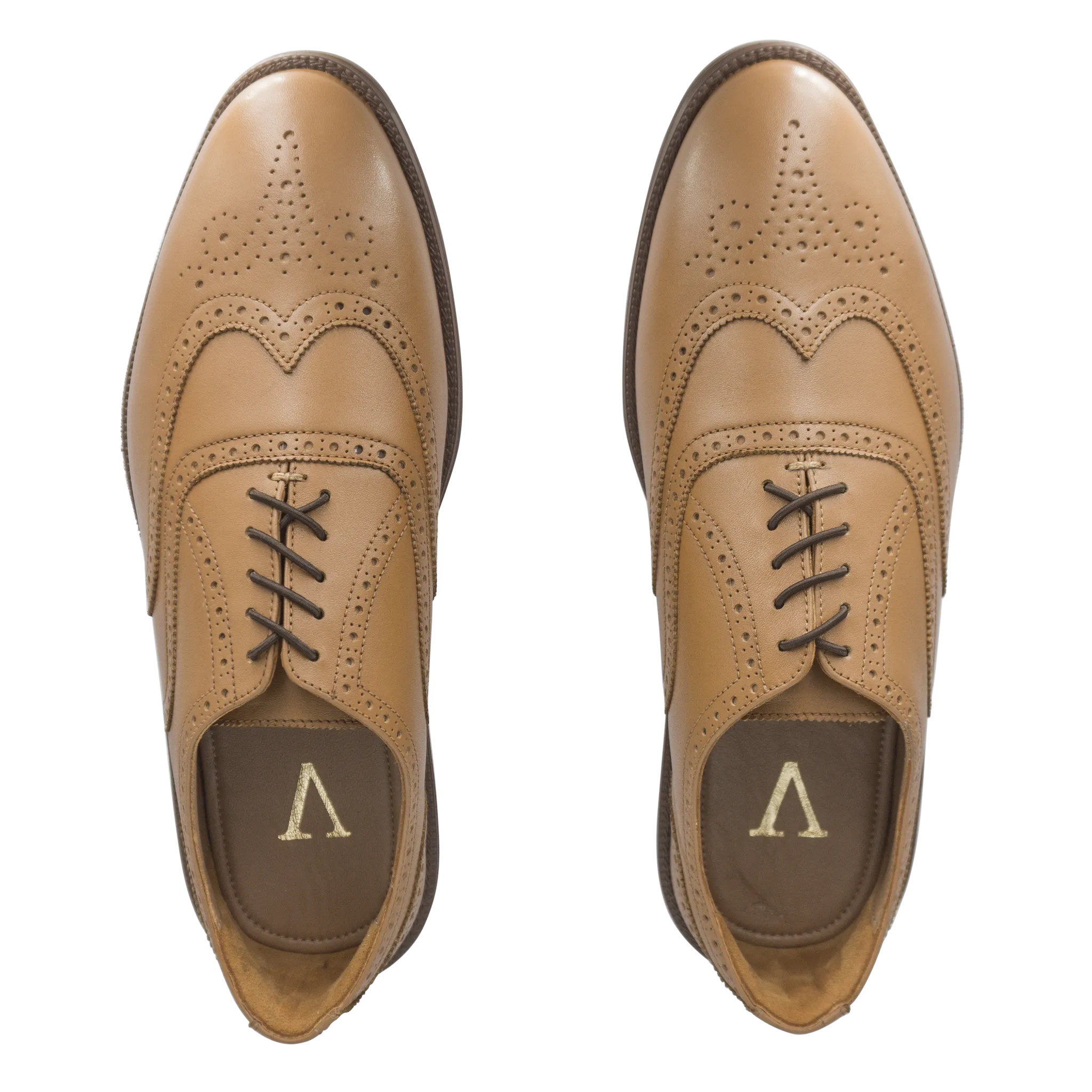 RAPTOR Wingtip Oxfords (Outlet)
