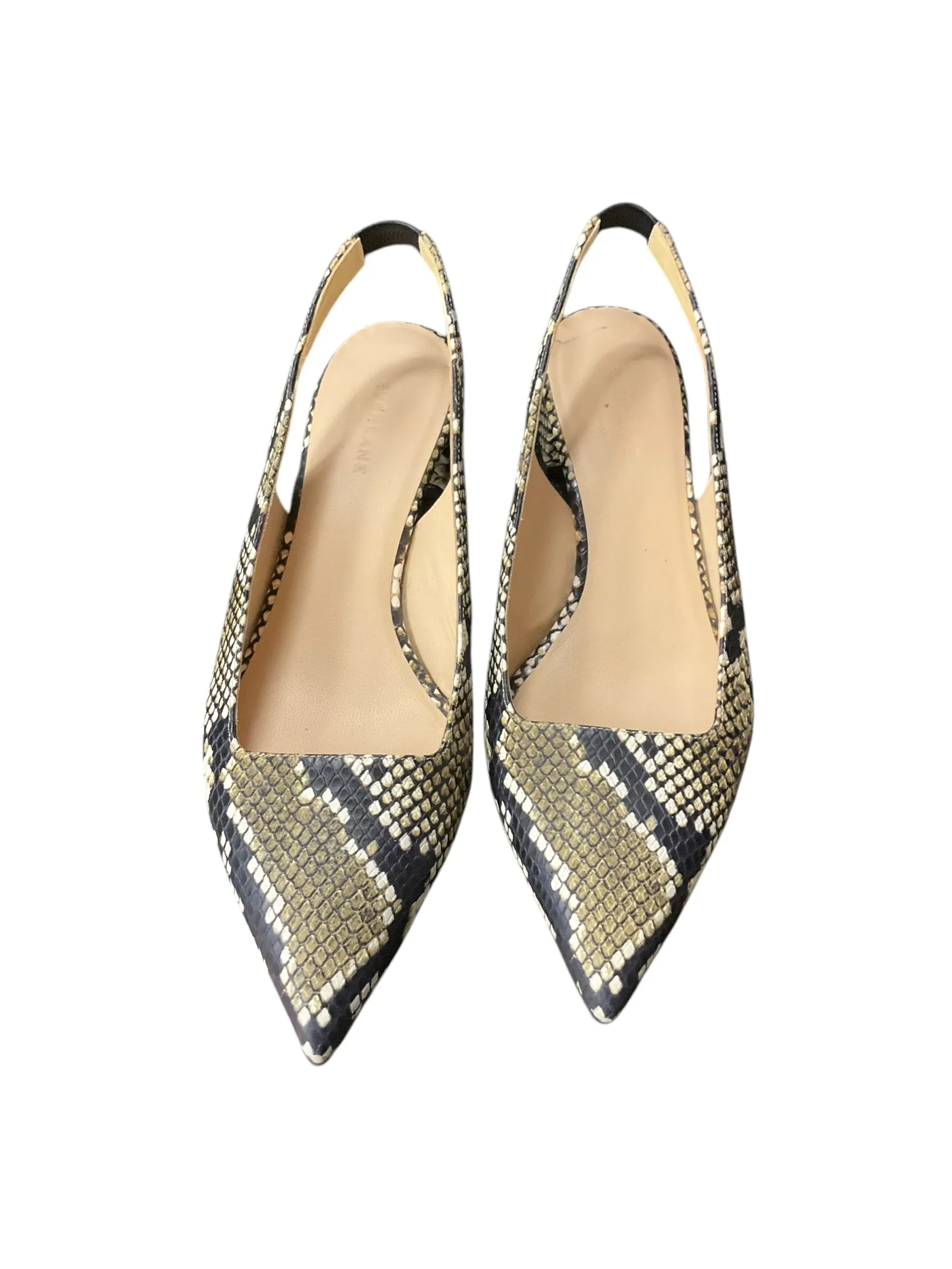 Shoes Heels Kitten By Everlane In Snakeskin Print, Size: 10