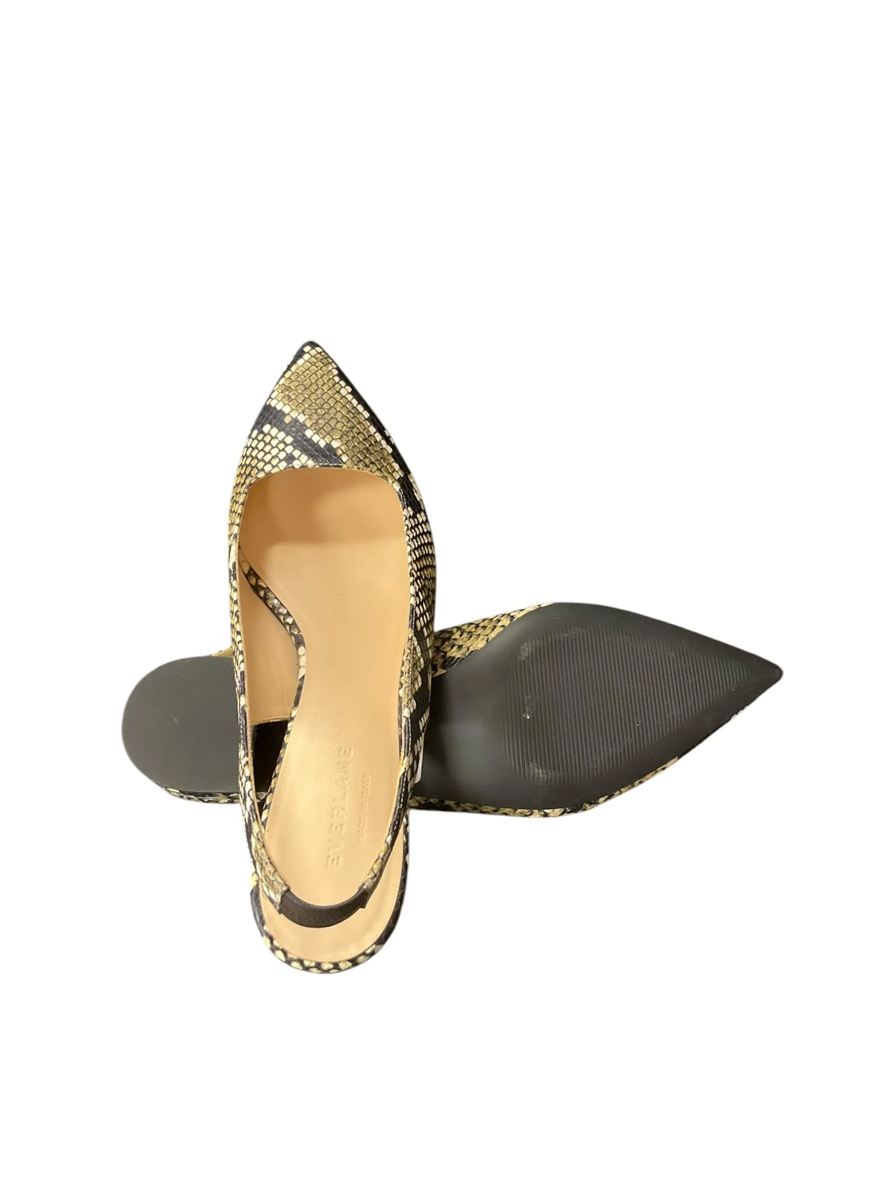 Shoes Heels Kitten By Everlane In Snakeskin Print, Size: 10
