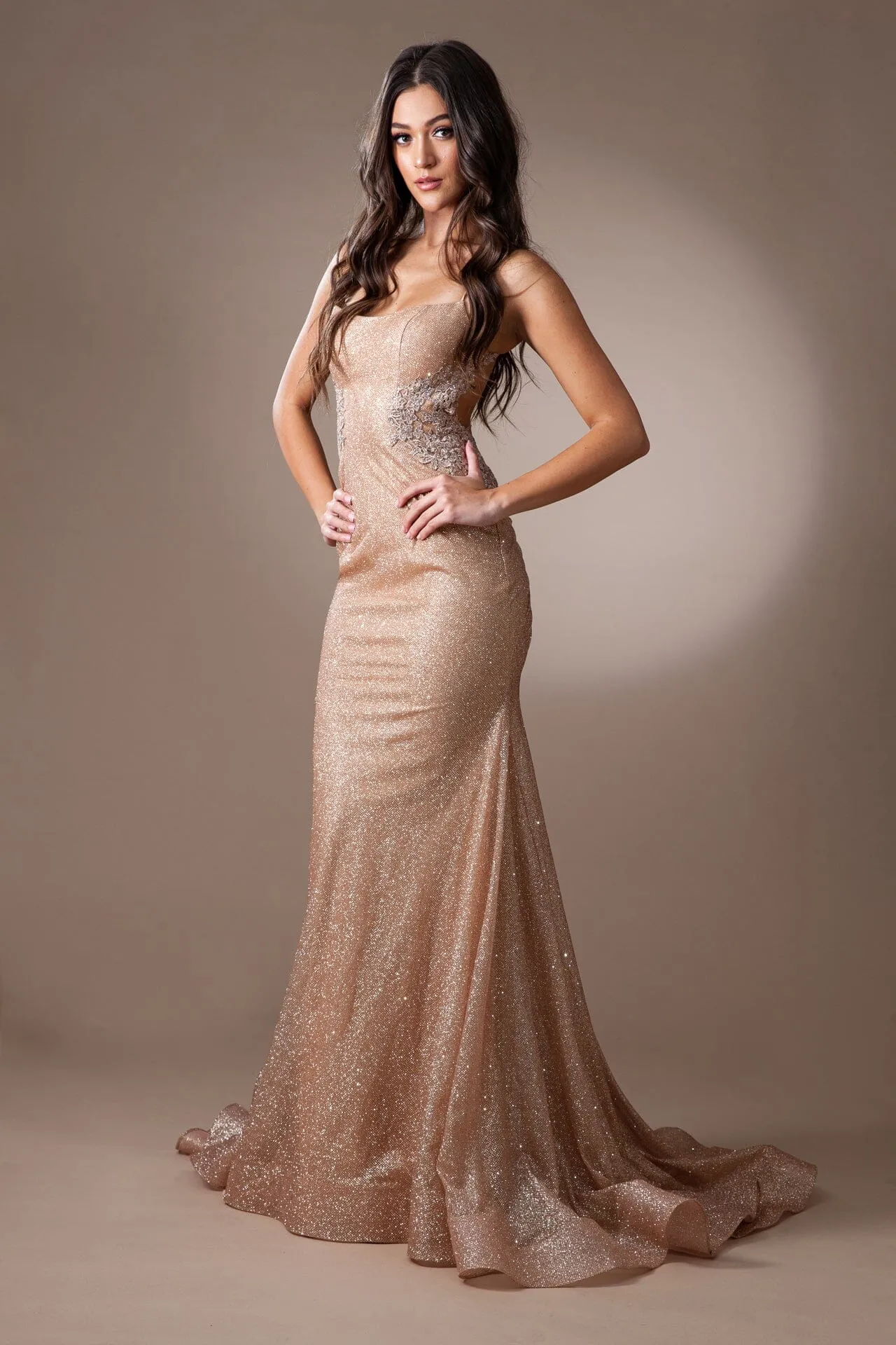 Sleeveless Glitter Mermaid Dress by Amelia Couture TM1014