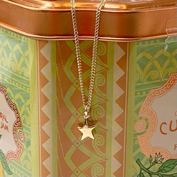 Solid Gold Tiny Star by Joy Everley