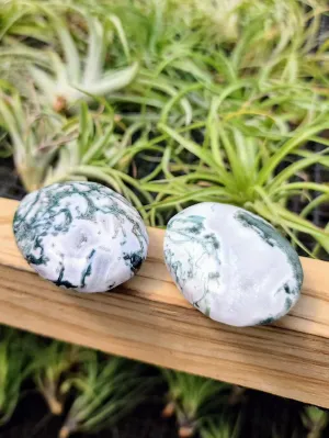 Tree Agate Crystal Palm Stone